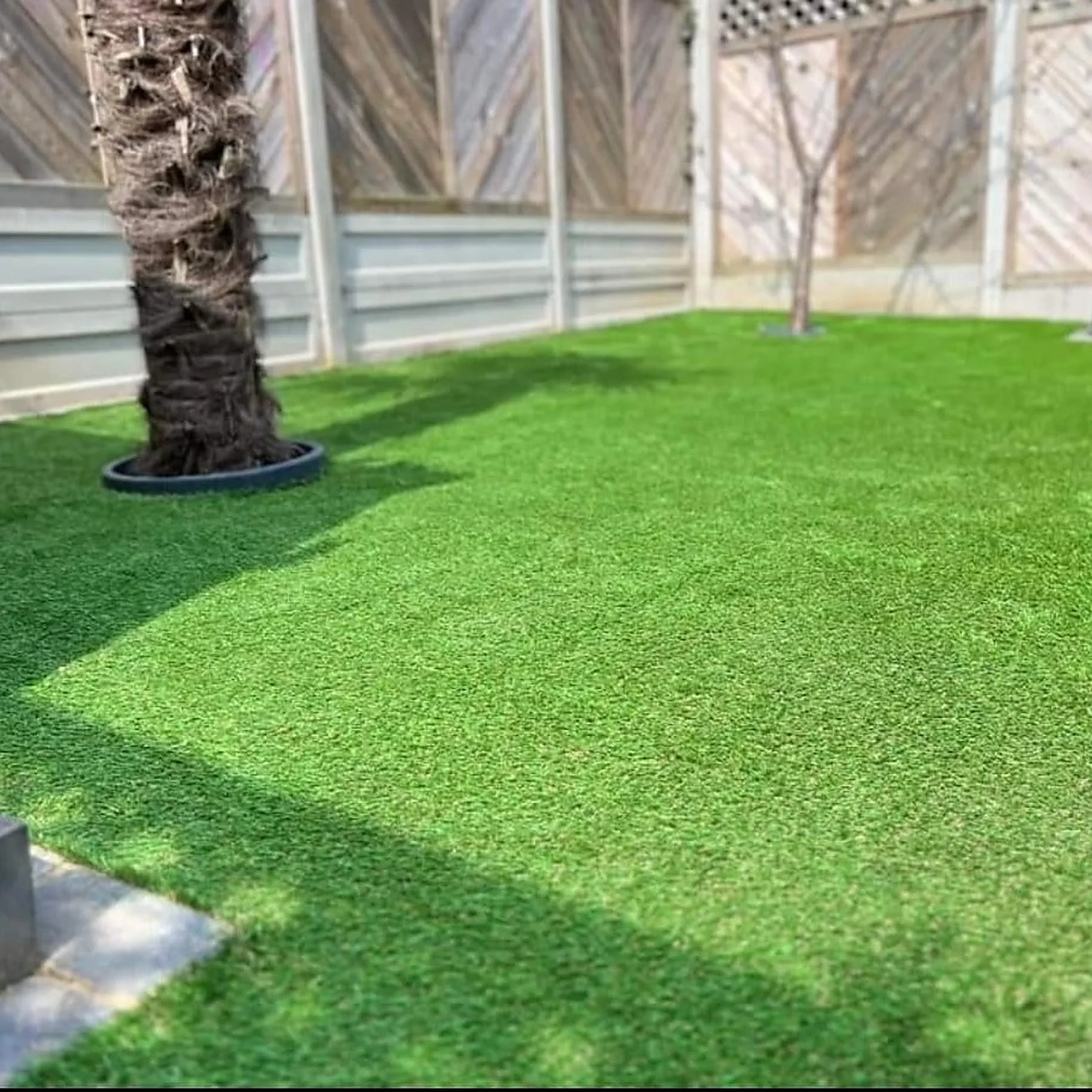 Artificial lawn beside a fence and palm